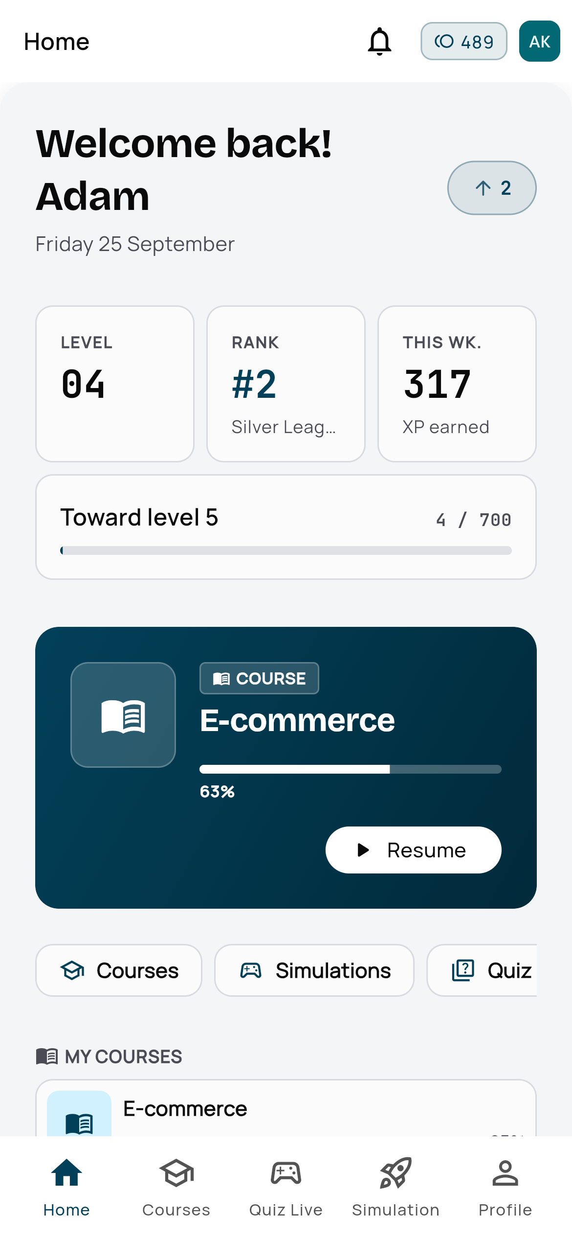 A learner’s home screen on a phone: course in progress and level